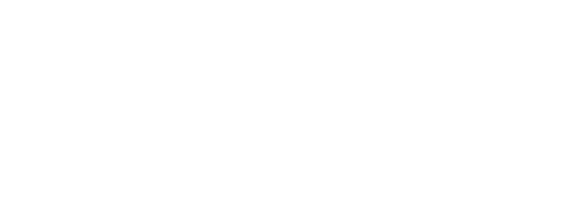 RaaGaa Technologies